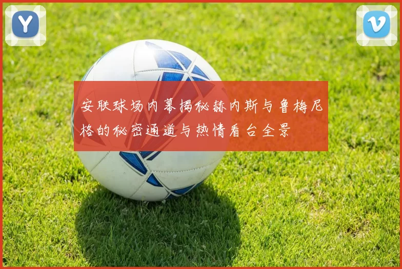安联球场内幕揭秘赫内斯与鲁梅尼格的秘密通道与热情看台全景