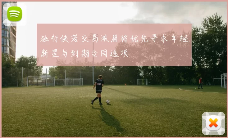 独行侠若交易浓眉将优先寻求年轻新星与到期合同选项